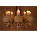 Skeletons & More Skeletons & More SKUL-500M Skull & Metal Chandelier; 8 Life-Size Skulls on Metal Frame with Flameless Candles SKUL-500M